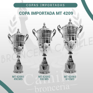 COPA IMPORTADA MT 4209 <br>Desde 49cms Hasta 61cms