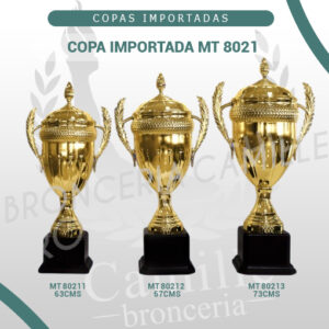 COPA IMPORTADA MT 8021 <br>Desde 63cms Hasta 73cms