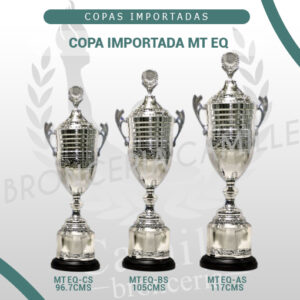 COPA IMPORTADA MT EQ <br>Desde 96.7cms Hasta 117cms