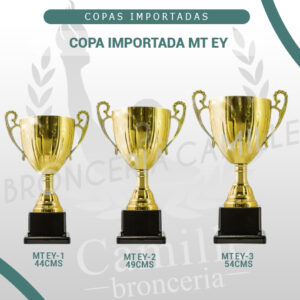 COPA IMPORTADA MT EY <br>Desde 44cms Hasta 54cms