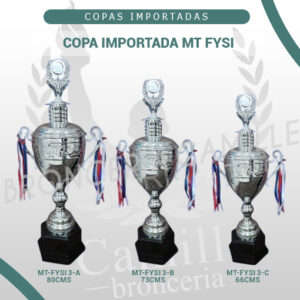 COPA IMPORTADA MT FYSI <br>Desde 66cms Hasta 80cms