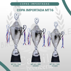 COPA IMPORTADA MT16<br> Desde 76cms Hasta 91cms