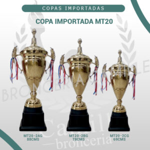 COPA IMPORTADA MT20 <br>Desde 69cms Hasta 88cms