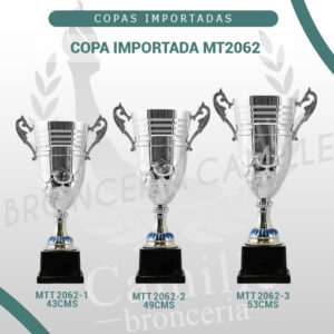 COPA IMPORTADA MT2062 <br>Desde 43cms Hasta 53cms