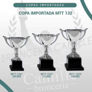 COPA IMPORTADA MTT 132 <br> Desde 20cms Hasta 24cms
