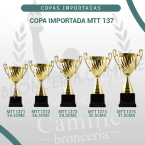 COPA IMPORTADA MTT 137 <br> Desde 24.5cms Hasta 37.5cms