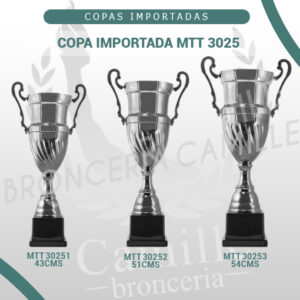 COPA IMPORTADA MTT 3025<br> Desde 43cms Hasta 54cms