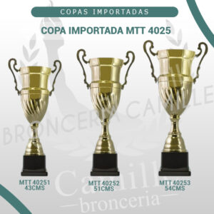 COPA IMPORTADA MTT 4025 <br>Desde 43cms Hasta 54cms