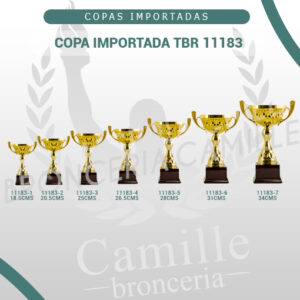 COPA IMPORTADA TBR 11183 <br>Desde 18.5cms Hasta 34cms