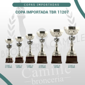 COPA IMPORTADA TBR 11207 <br>Desde 21.5cms Hasta 35.5cms