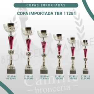 COPA IMPORTADA TBR 11281 <br>Desde 31.5cms Hasta 40.5cms