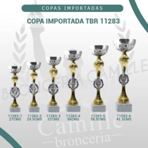 COPA IMPORTADA TBR 11283 <br>Desde 27cms Hasta 42.5cms