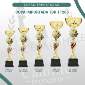 COPA IMPORTADA TBR 11285 <br>Desde 29cms Hasta 42.5cms