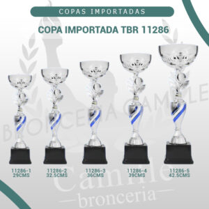 COPA IMPORTADA TBR 11286 <br>Desde 29cms Hasta 42.5cms