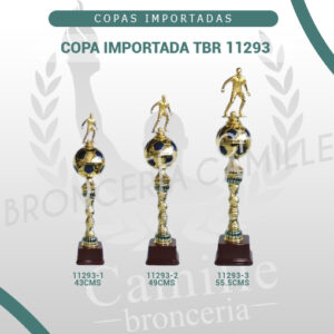 COPA IMPORTADA TBR 11293 <br>Desde 43cms Hasta 55.5cms