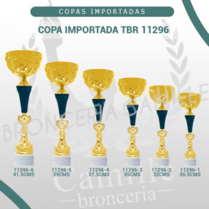 COPA IMPORTADA TBR 11296 Desde 30.5cms Hasta 41.5cms