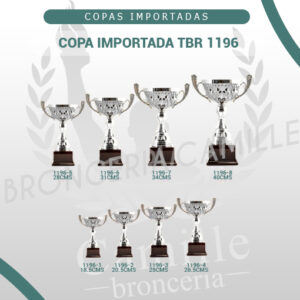 COPA IMPORTADA TBR 1196 <br> Desde 19cms Hasta 40cms