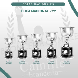 COPA NACIONAL 722<br> Desde 30cms Hasta 49cms