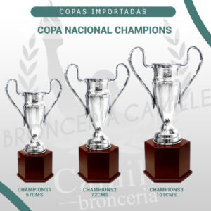 COPA NACIONAL CHAMPIONS<br> Desde 57cms Hasta 101cms