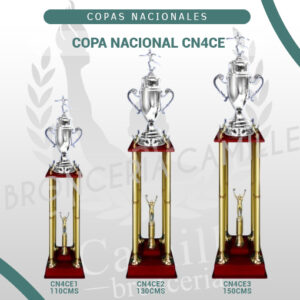 COPA NACIONAL CN4CE<br> Desde 110cms Hasta 150cms