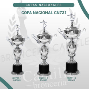 COPA NACIONAL CN731<br> Desde 69cms Hasta 81cms
