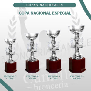 COPA NACIONAL ESPECIAL<br> Desde 41cms Hasta 94cms