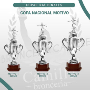COPA NACIONAL MOTIVO<br>Desde 42cms Hasta 50cms