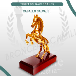 Caballo salvaje