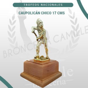 Caupolicán chico 17 Cms