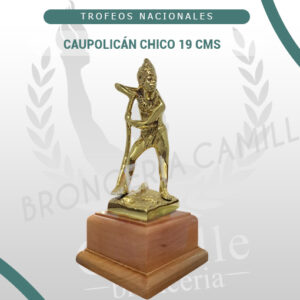 Caupolicán chico 19 Cms
