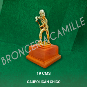 Caupolicán chico 19 Cms