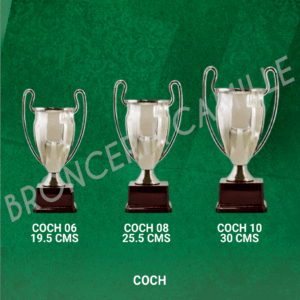 COPA IMPORTADA COCH  Desde19.5cms Hasta 30cms
