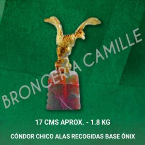Cóndor Chico Alas Recogidas Base Ónix