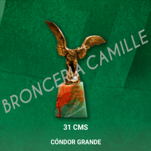 Cóndor Grande