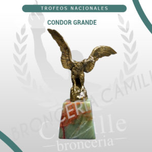 Condor grande
