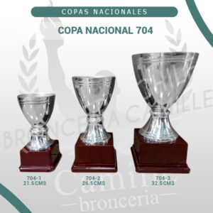 Copa Nacional 704<br> Desde 21,5cms Hasta 32,5cms