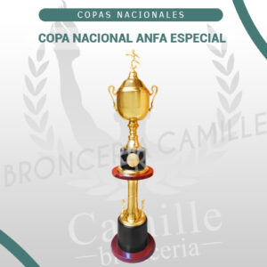 Copa Nacional ANFA Especial <BR>140CMS