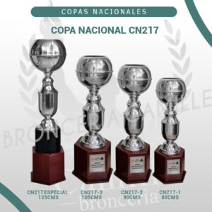 Copa Nacional CN217 <br>Desde 80cms Hasta 125cms