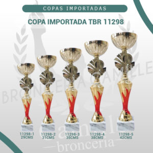 Copa importada TBR 11298 <br>Desde 29cms Hasta 42cms