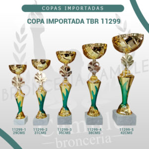 Copa importada TBR 11299 <br>Desde 29cms Hasta 42cms