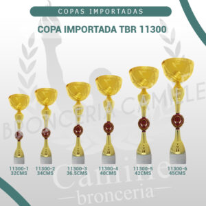 Copa importada TBR 11300<BR> Desde 32cms Hasta 45cms
