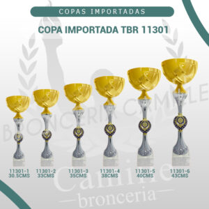 Copa importada TBR 11301<BR> Desde 32cms Hasta 45cms