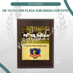 DB 1013 C con placa sublimada con foto