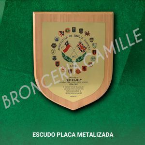 ESCUDO PLACA METALIZADA