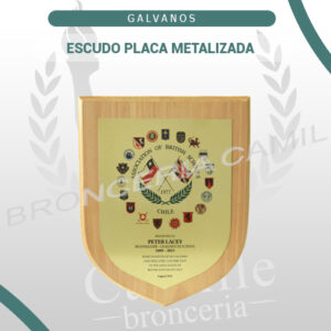 ESCUDO PLACA METALIZADA