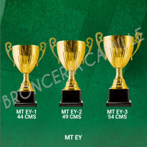 COPA IMPORTADA MT EY Desde 44cms Hasta 54cms