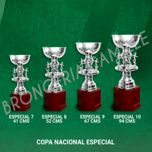COPA NACIONAL ESPECIAL Desde 41cms Hasta 94cms