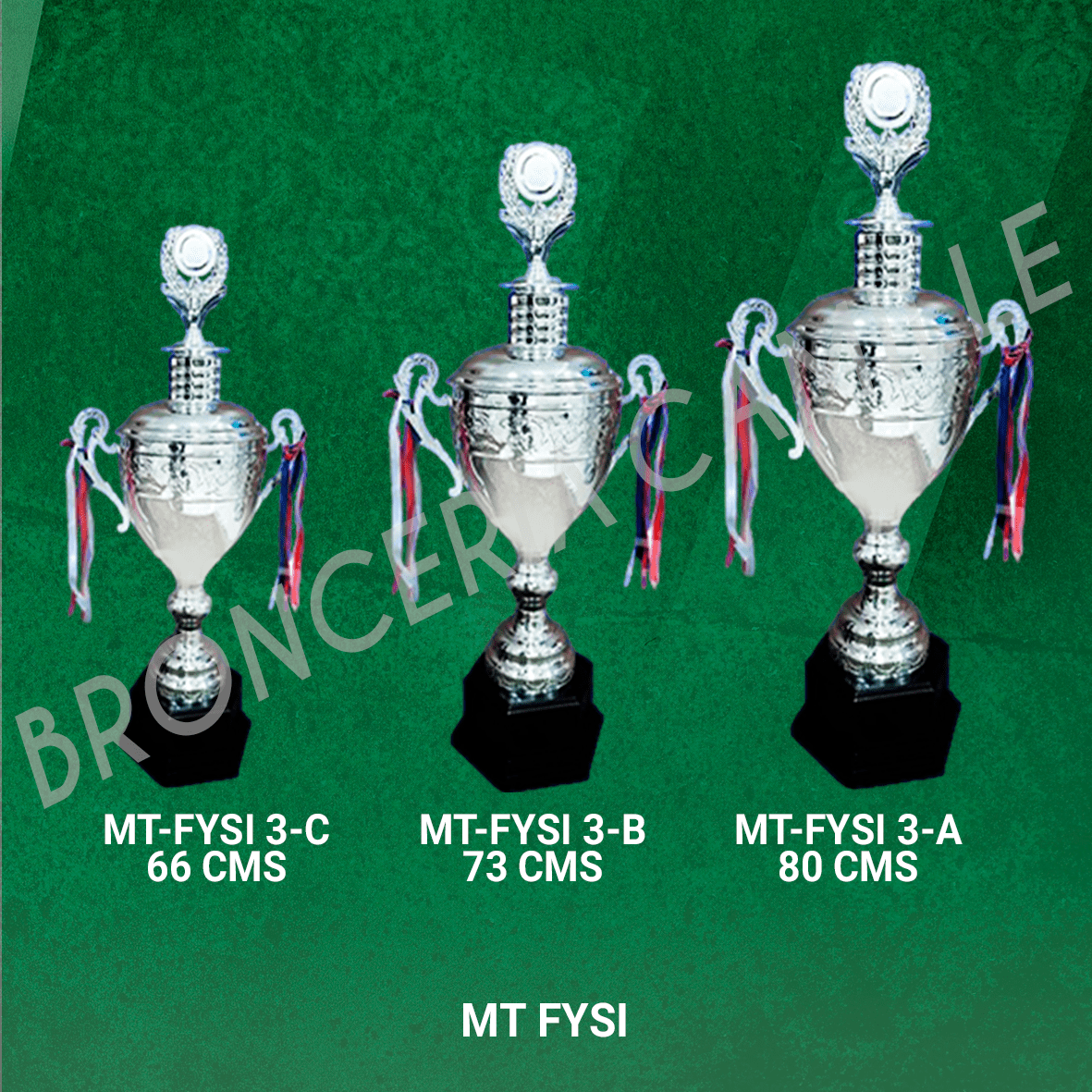 COPA IMPORTADA MT FYSI Desde 66cms Hasta 80cms