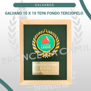 GALVANO 15 x 19 TEPA FONDO TERCIOPELO