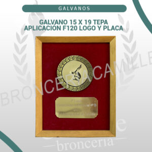 GALVANO 15 x 19 TEPA - APLICACIÓN F120 LOGO Y PLACA